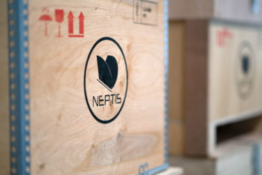 neptis wooden packaging
